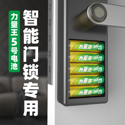5號堿性力量王電池,5號玩具,五號鼠標空調(diào)遙控器電池