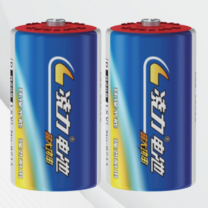 凌力R20 S碳性電池